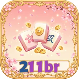 211br